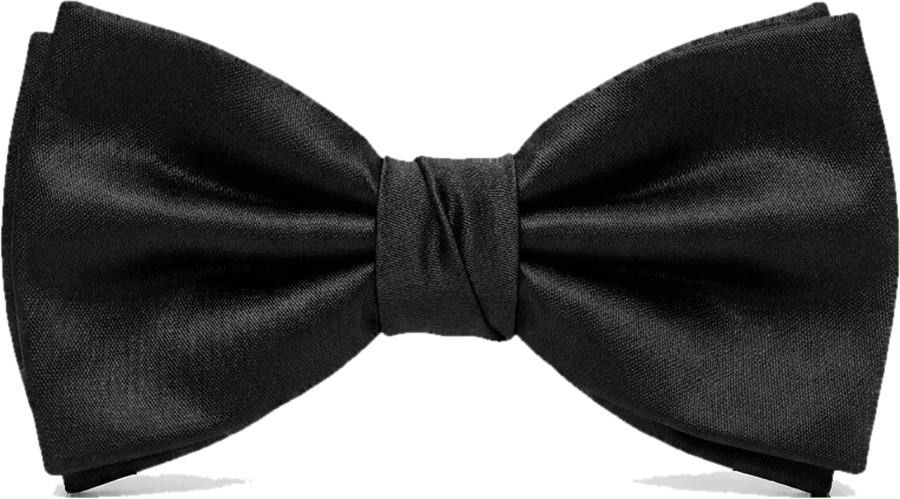 Black silk bow tie
